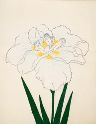 Moro-No-Tsuki, n° 97, 1890
