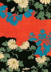Motif rouge et noir avec des marguerites