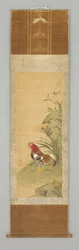 Coq près d