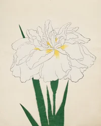 Ujaku-No-Nagisa, No. 61