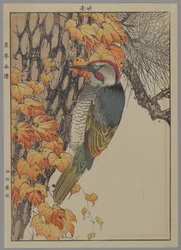 Pic, 1892