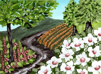 Chemin dans les vignes bordé de fleurs