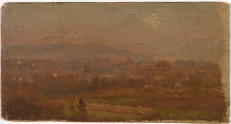 Sans titre, vers 1875-1880