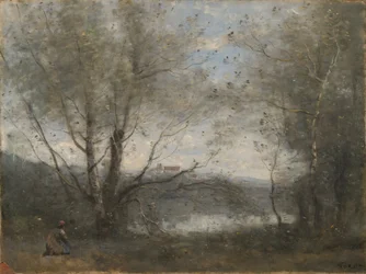 Un étang vu à travers les arbres