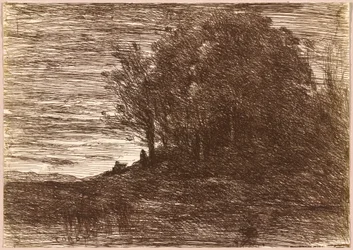 Le Bois de l