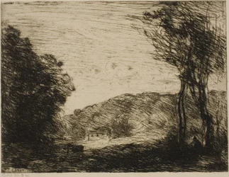 Paysage boisé
