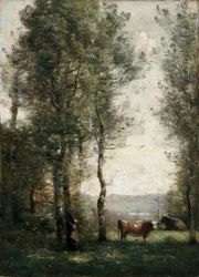 Paysage boisé avec des vaches dans une clairière