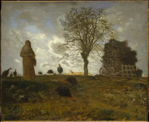 Paysage d