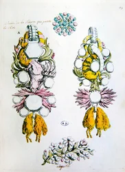 Dessins pour une broche, une aigrette et pour l