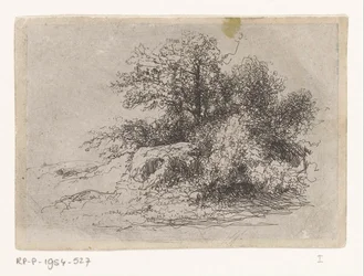 Buisson