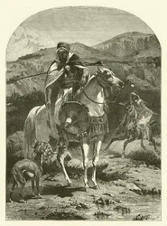 Chasse au lièvre en Algérie avec des lévriers (gravure)