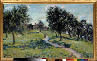 Paysage en Normandie: pommiers