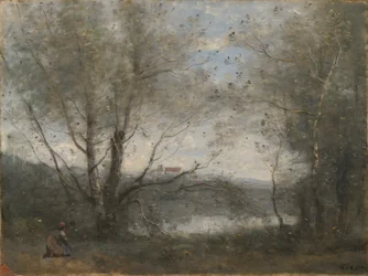 Un étang vu à travers les arbres