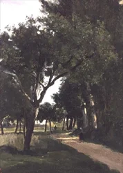 Avenue dans les bois, près de Chaville