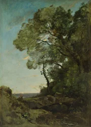Paysage arboré (soirée)