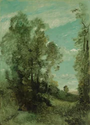 Paysage arboré (matin)