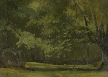 Fontainebleau - en Forêt