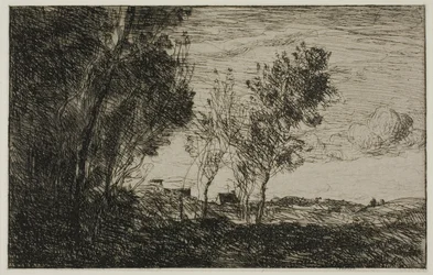 Dans les dunes : Souvenir des bois de La Haye