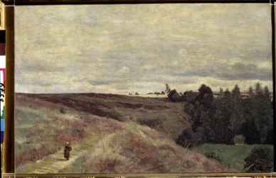 Les collines couvertes de bruyères près de Vimoutiers en Normandie