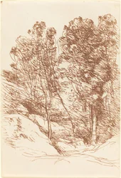 Souvenir de la Vallée de la Sole