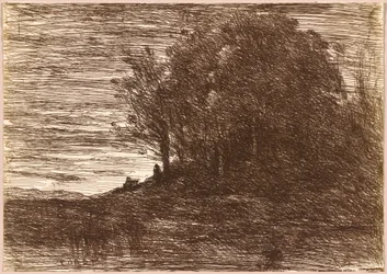 Le Bois de l