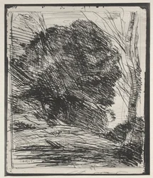 Arbres sur la montagne, impression originale 1856, imprimée en 1921