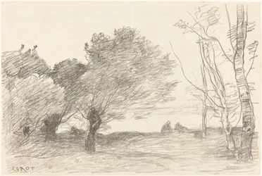 Saules et peupliers blancs, 1871