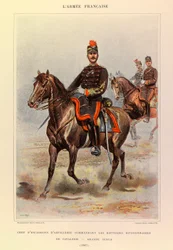 Types et uniformes de l