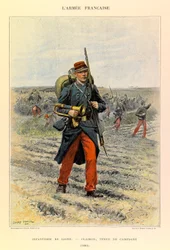 Types et uniformes de l