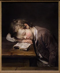 Le petit paresseux