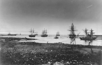 Guerre de Crimée, escadron français, entrée dans le port, 1855