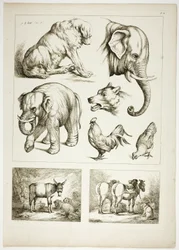 Planche 32 de 38 des Œuvres de J. B. Huet