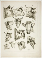 Planche 35 de 38 des Œuvres de J. B. Huet