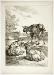 Planche dix-huit de 38 de Oeuvres de J. B. Huet