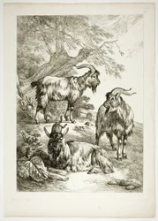 Planche Dix-sept de 38 des Œuvres de J. B. Huet