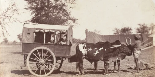 [Les jumeaux Campbell dans un Shigram, Camp du Gouverneur Général], 1858-61