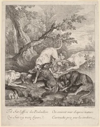 Un Renard Attaqué par des Chiens