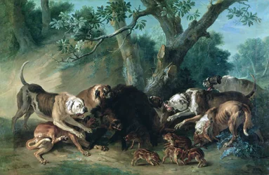 Une laie sauvage et ses petits attaqués par des chiens