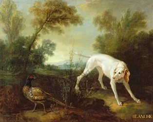Blanche, chienne de la meute royale