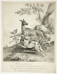 Cerfs attaqués par des chiens