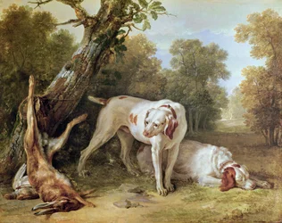 Chien et lièvre