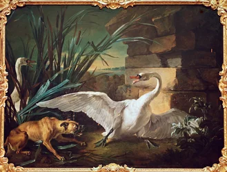 Chien et cygnes