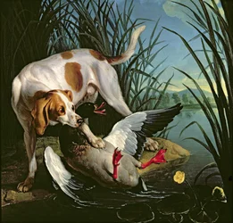 Chien avec un canard sauvage