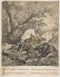 Chasse au renard, 1736