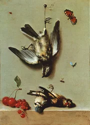 Nature morte avec trois oiseaux morts, des groseilles, des cerises et des insectes