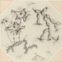 Fleurs de bambou et cactus (craie noire et rouge sur papier vergé)