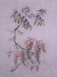 Étude décorative de fleurs et de baies