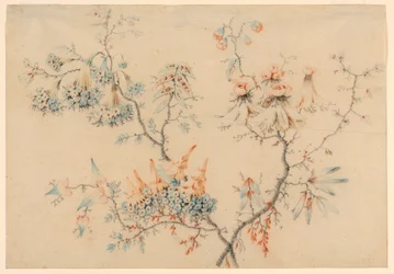 Dessin, branches fleuries, 1775-1800