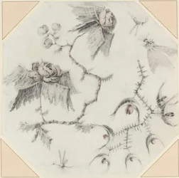 Fleurs et insectes fantaisistes