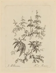Fleur fantastique